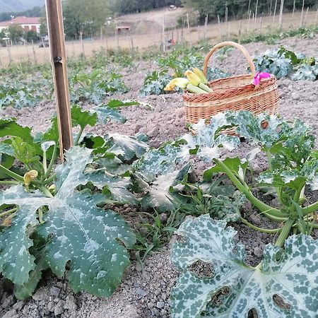Agriturismo Dei Legi San Pietro Vara Екстериор снимка