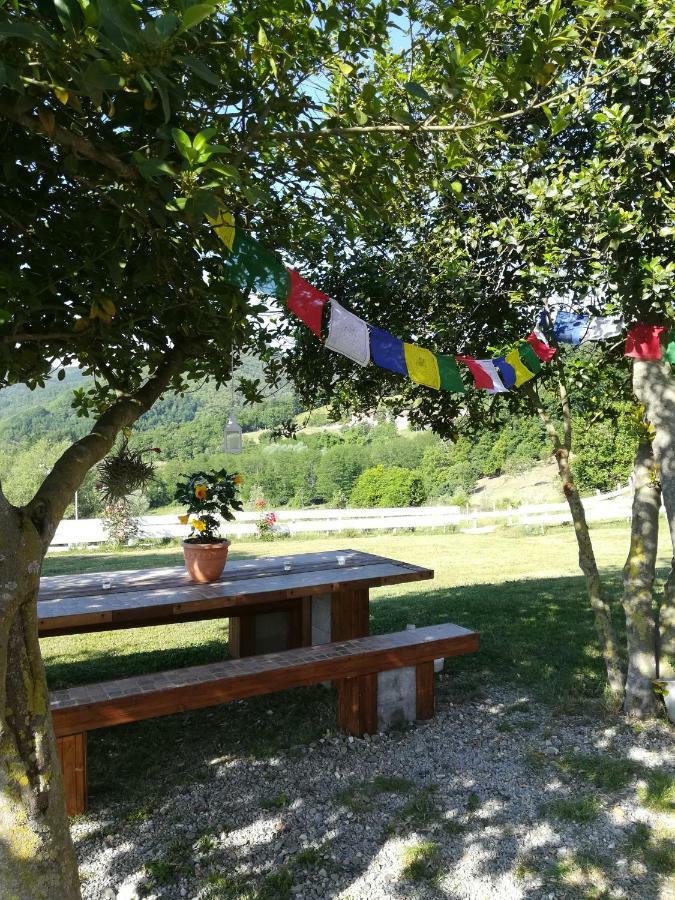 Agriturismo Dei Legi San Pietro Vara Екстериор снимка