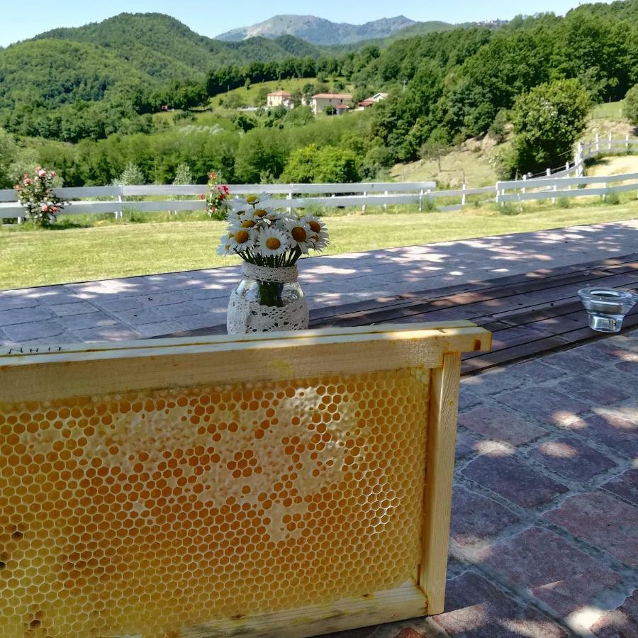 Agriturismo Dei Legi San Pietro Vara Екстериор снимка