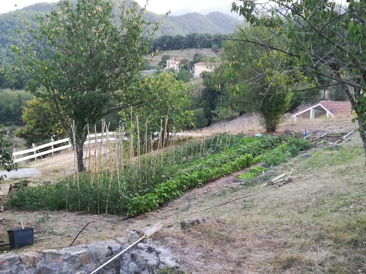 Agriturismo Dei Legi San Pietro Vara Екстериор снимка