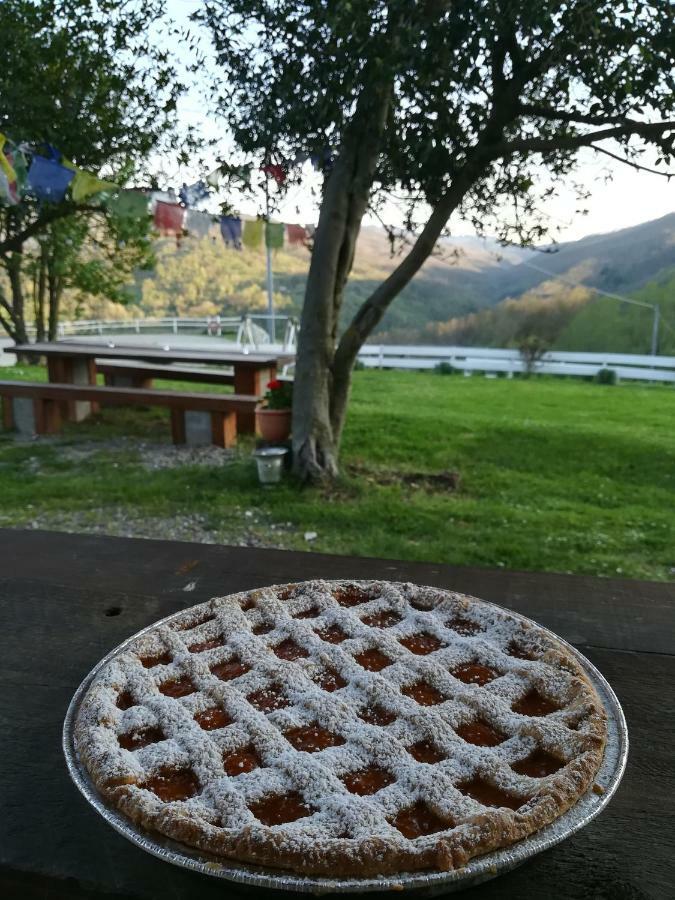 Agriturismo Dei Legi San Pietro Vara Екстериор снимка