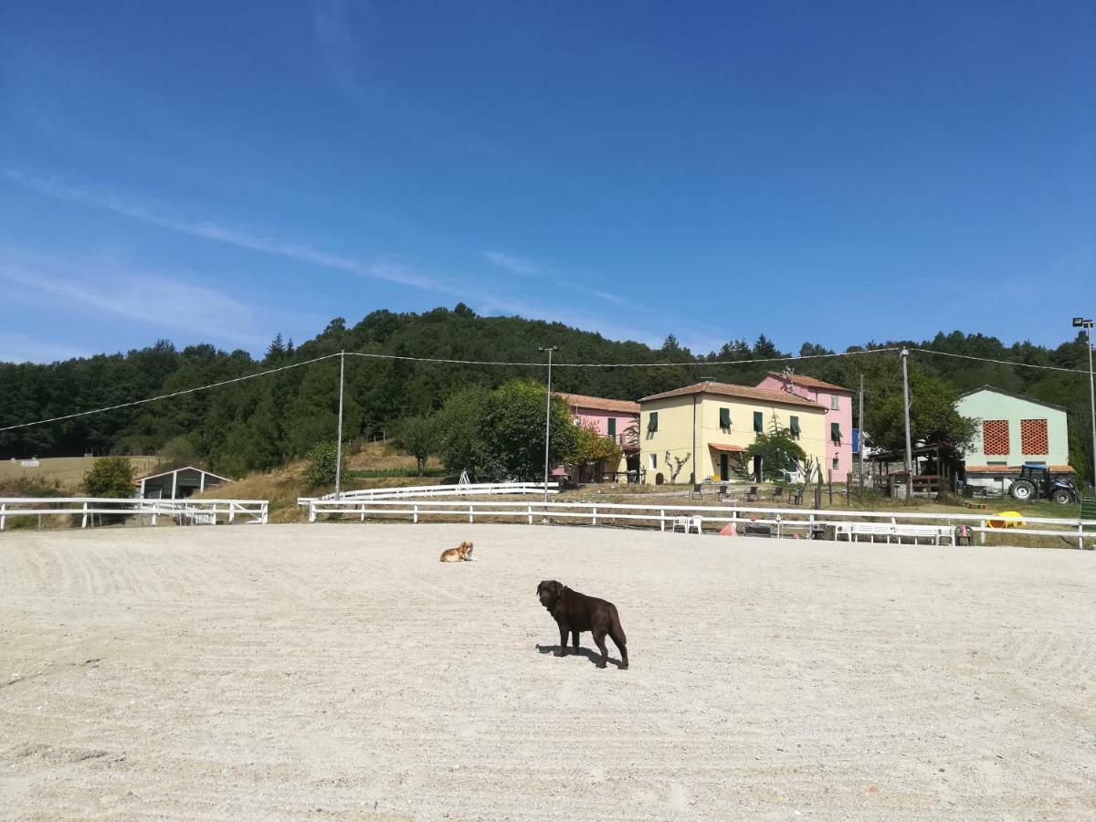 Agriturismo Dei Legi San Pietro Vara Екстериор снимка